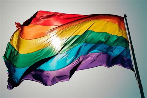 28 LGBTQ+ PRIDE FLAGS: LESBIAN, GAY, BISEXUAL+ [2024]